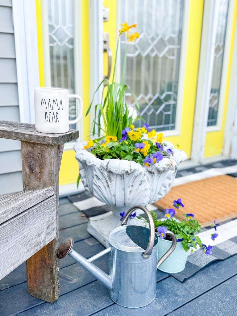 Daffodils, Pansies, and Hyacinths by my front door.