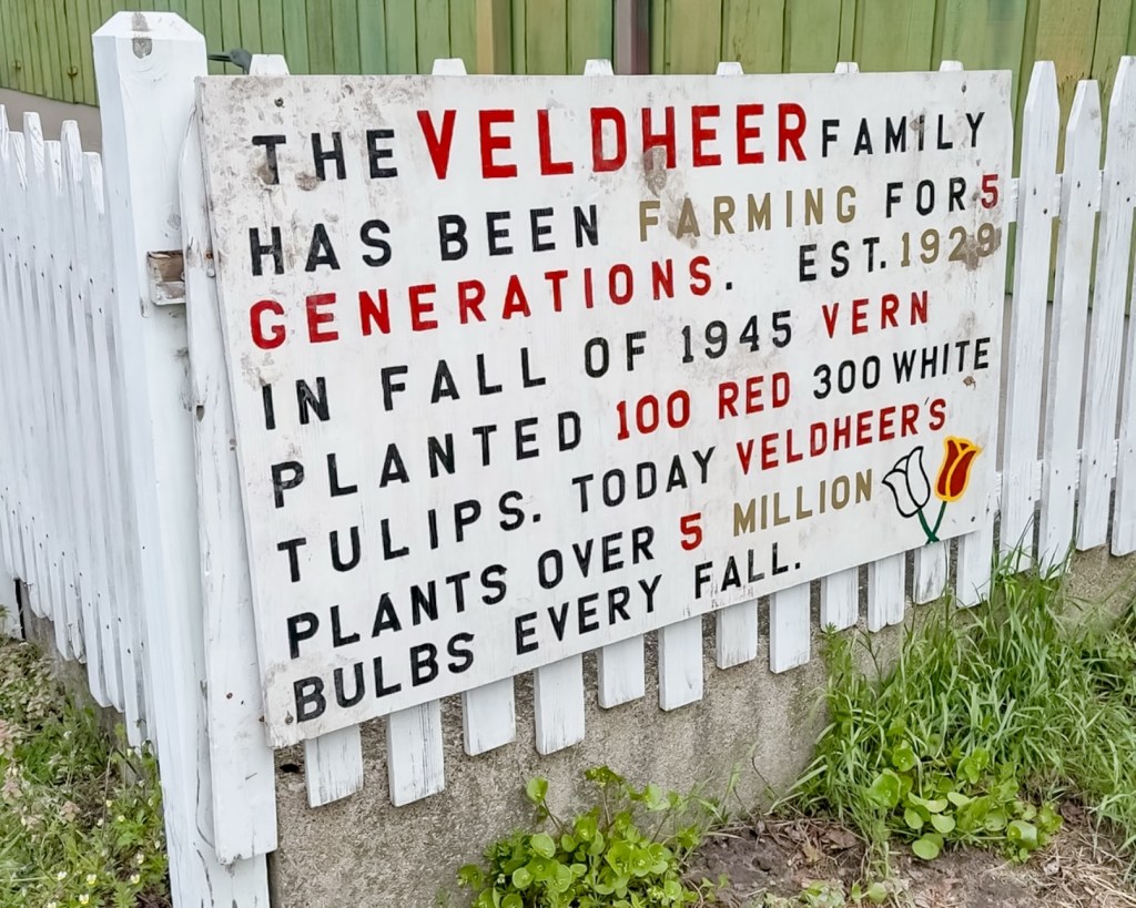 Signage for Veldheer Tulip Farm, detailing the family's five generations of farming, established in 1929, and mentioning the planting of tulips, including 100 red and 300 white tulips in 1945.